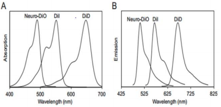 5f21245e9cdb5.png image.png