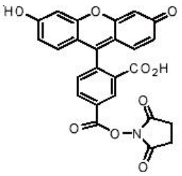 5f30f36d58d08.png image.png