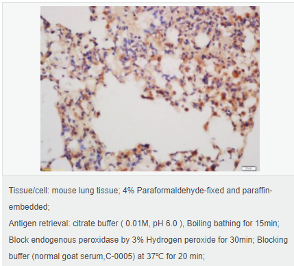 6052afd160c87.png image.png