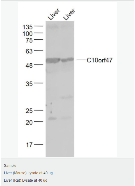 6052bb238f8be.png image.png