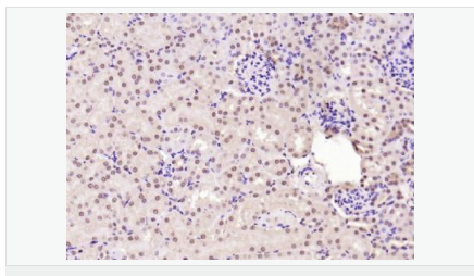 60580128af43a.png image.png