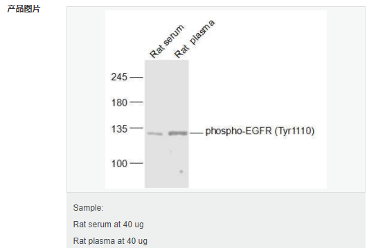 60582ce43749d.png image.png