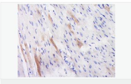 60584454ed7b5.png image.png