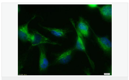 60612c2b6854a.png image.png