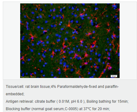 60612c4cb7946.png image.png