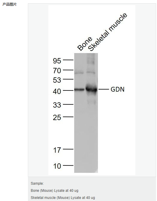 606414af28e07.png image.png