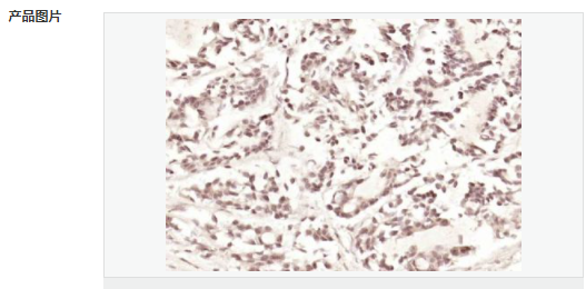 6066b3118432b.png image.png