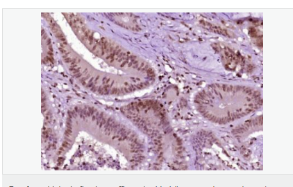 607648a247c7f.png image.png