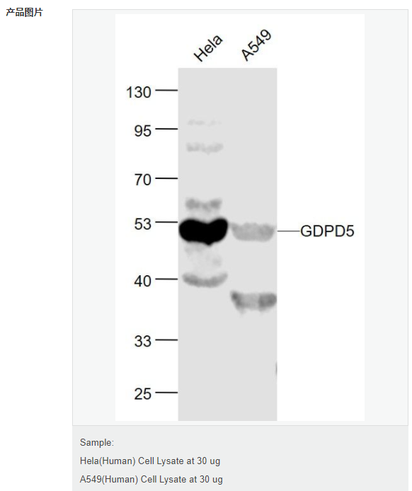 60769b7e479aa.png image.png